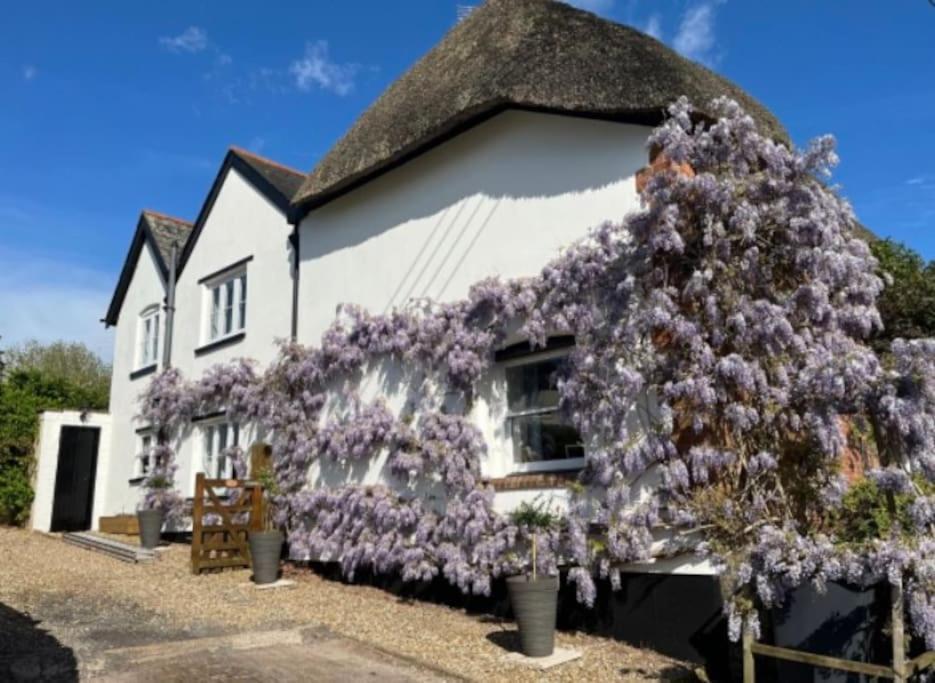 Church View, Poltimore Village - Near Apartment